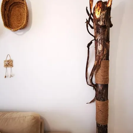 Vida Y Mar
