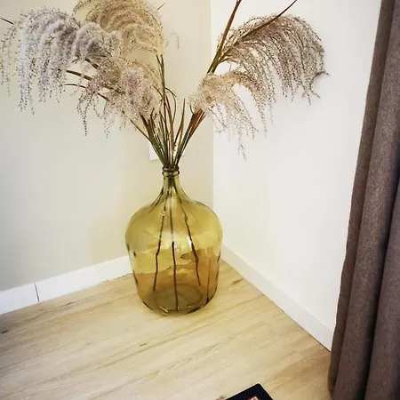 Apartment Vida Y Mar